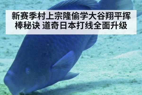 新赛季村上宗隆偷学大谷翔平挥棒秘诀 道奇日本打线全面升级